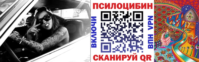 Псилоцибиновые грибы Psilocybe  Купить закладки  Мещовск 